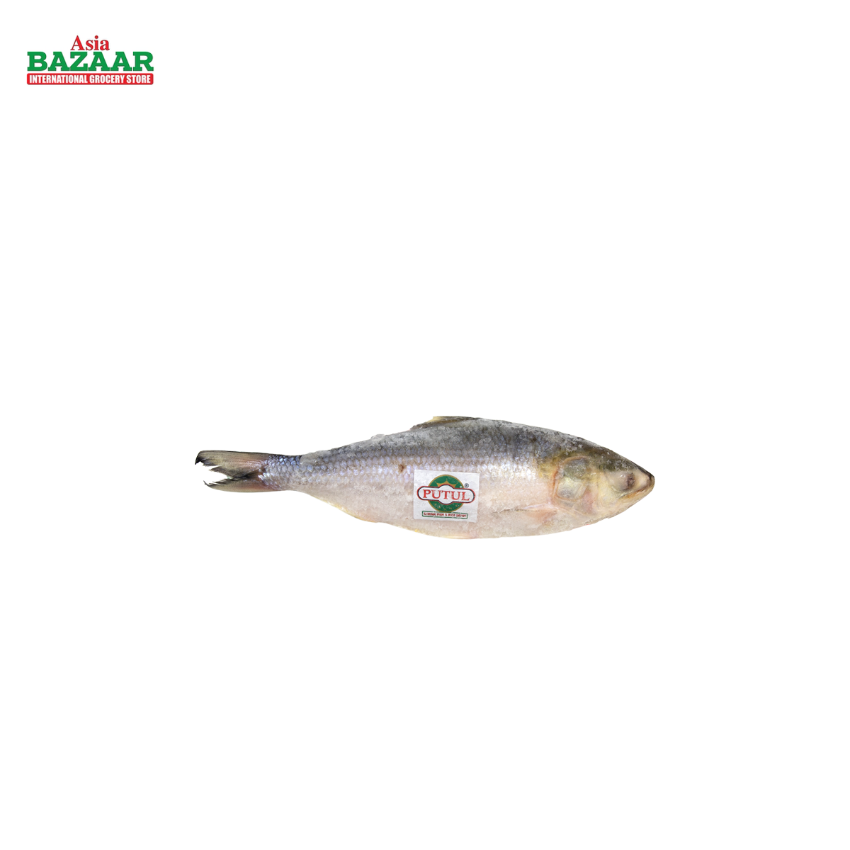 FZ HILSHA FISH (12/15)